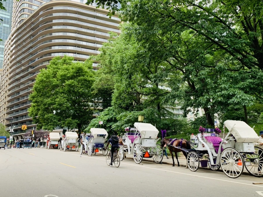 IMG_3290.jpg?type=w966