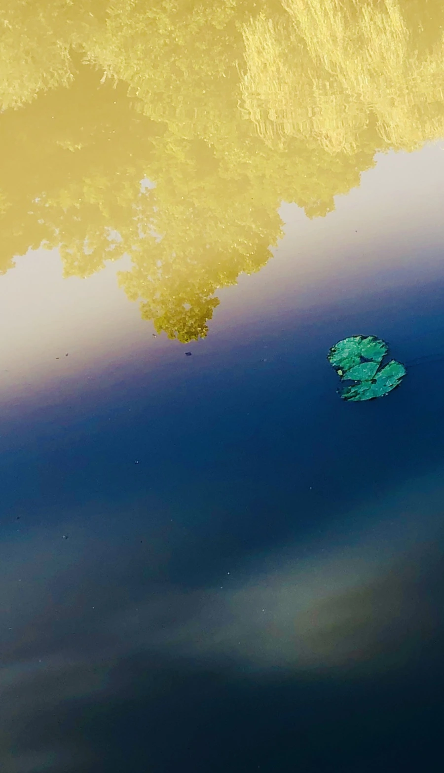 IMG_3897.jpg?type=w966