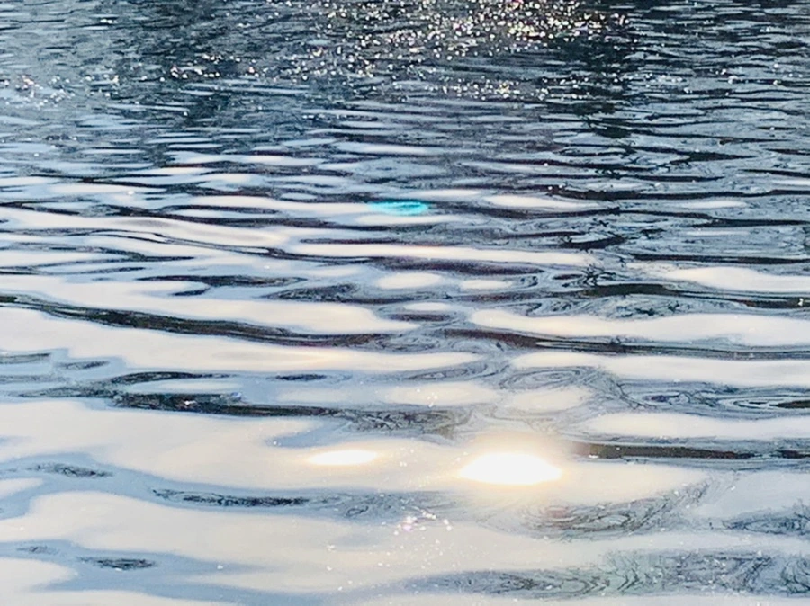 IMG_0378.jpg?type=w966