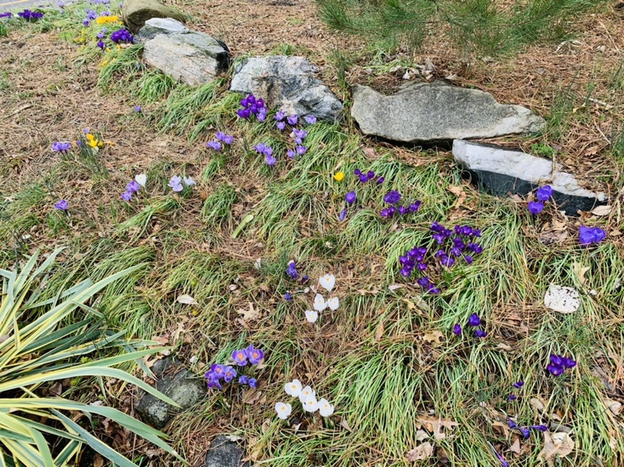 IMG_3786.jpg?type=w966