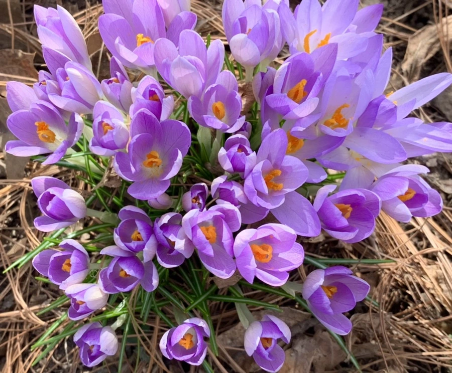 IMG_0438.jpg?type=w966