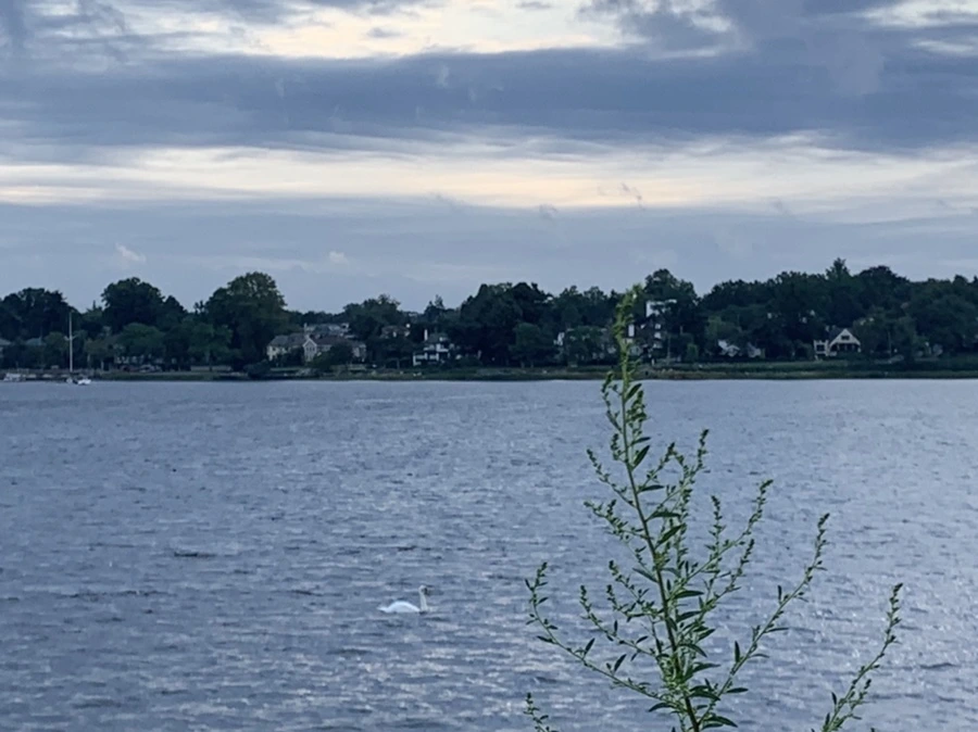 IMG_5786.jpg?type=w966