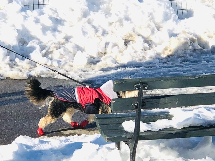 IMG_9887.jpg?type=w966