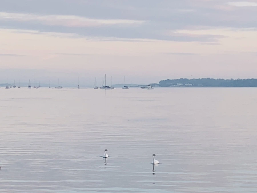 IMG_5593.jpg?type=w966