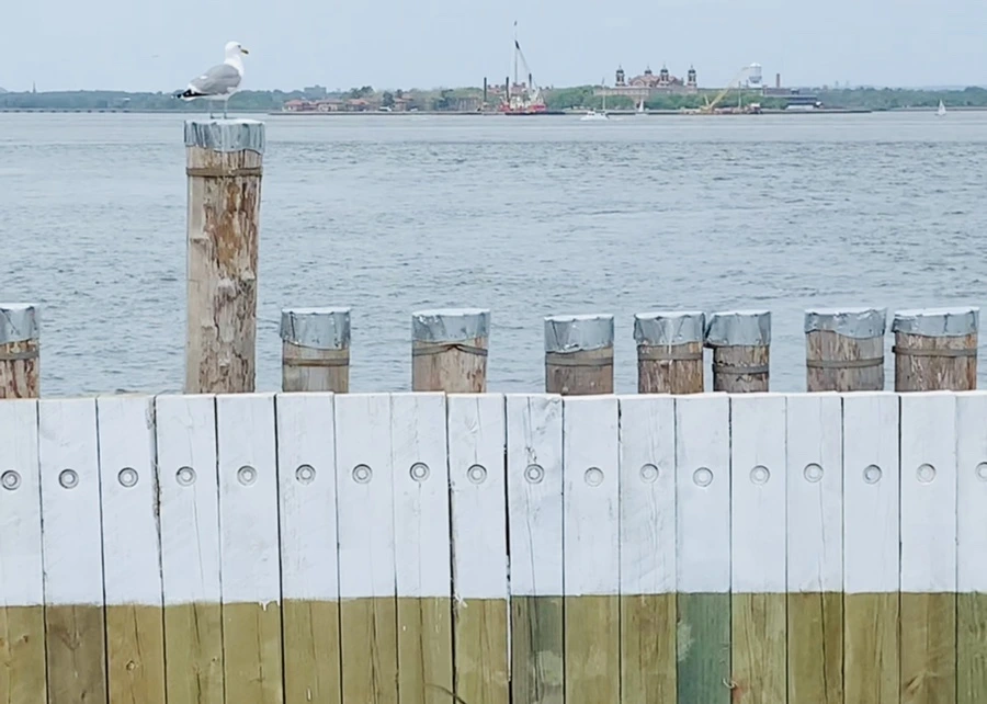 IMG_4997.jpg?type=w966