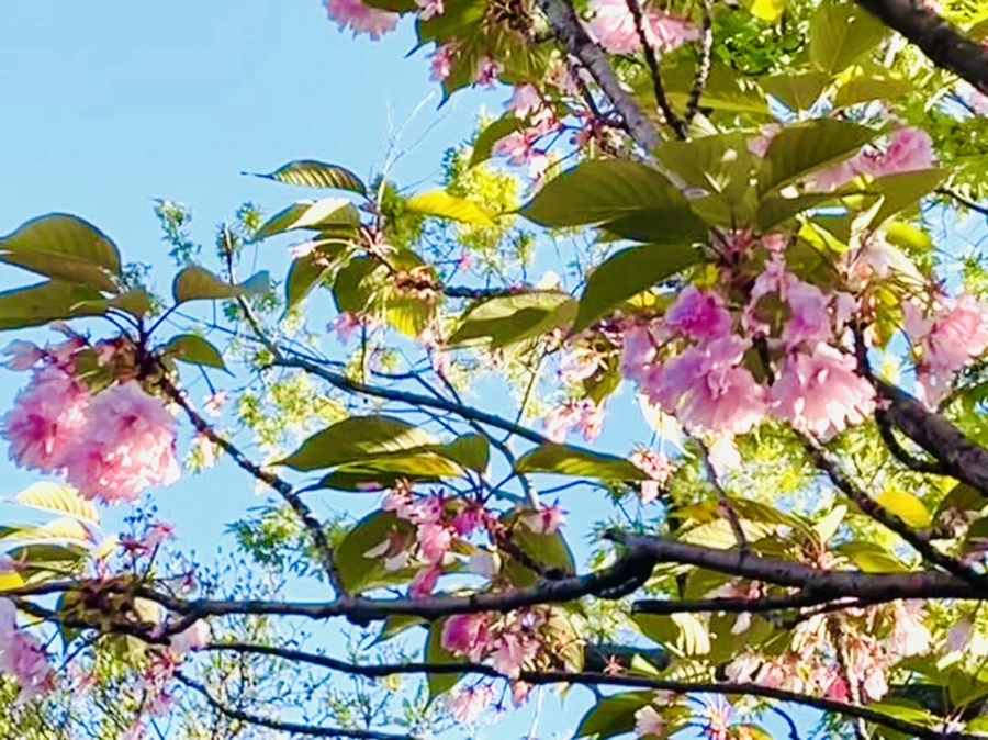 IMG_5883.jpg?type=w966