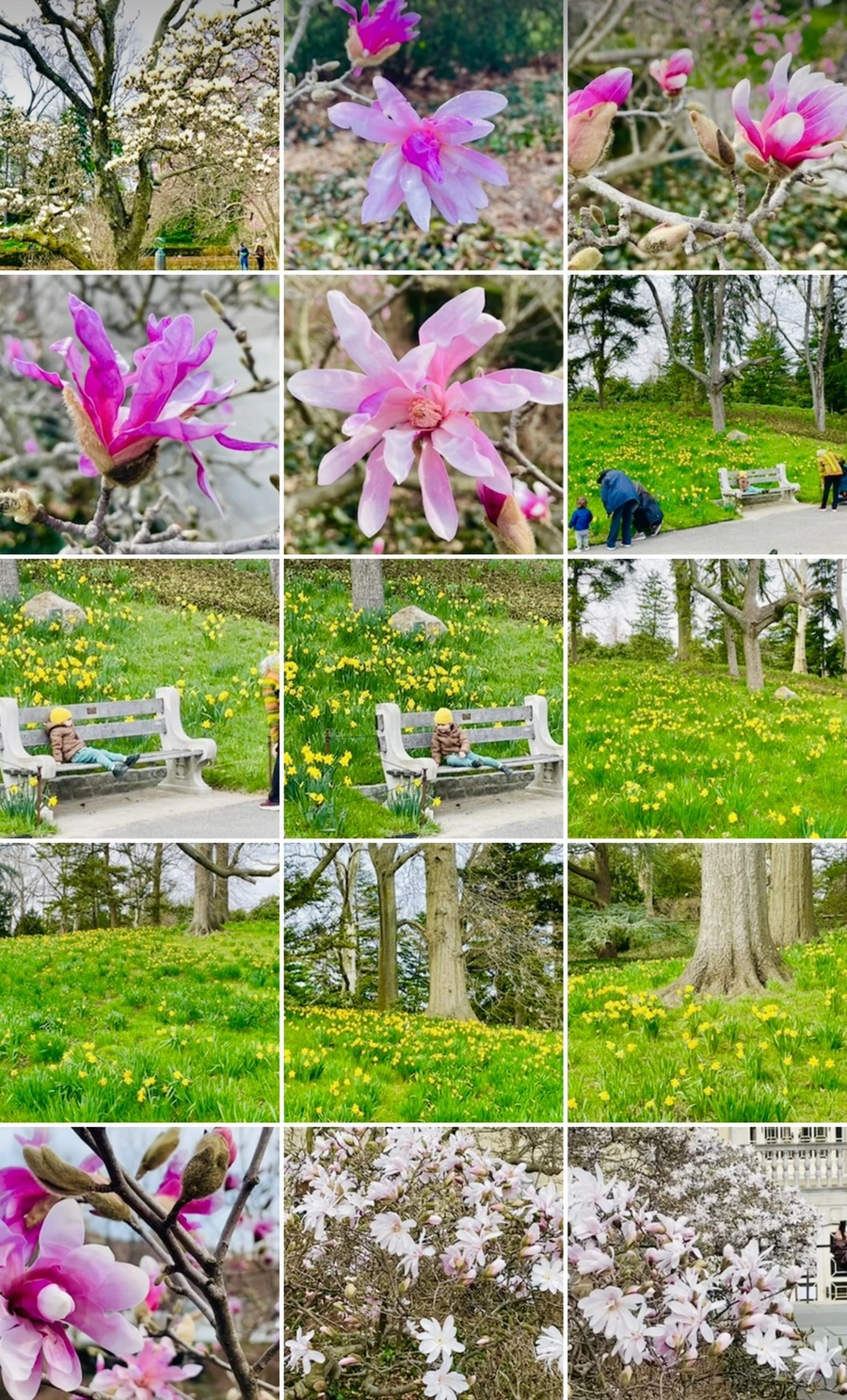 IMG_6777.jpg?type=w966