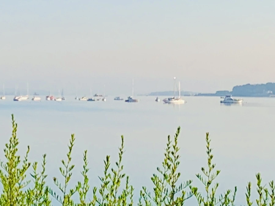 IMG_7427.jpg?type=w966