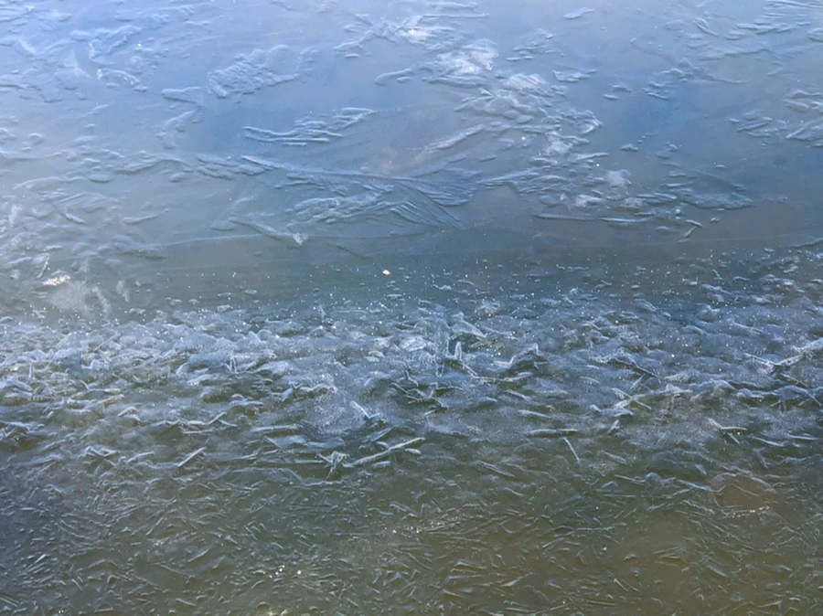 IMG_7911.jpg?type=w966