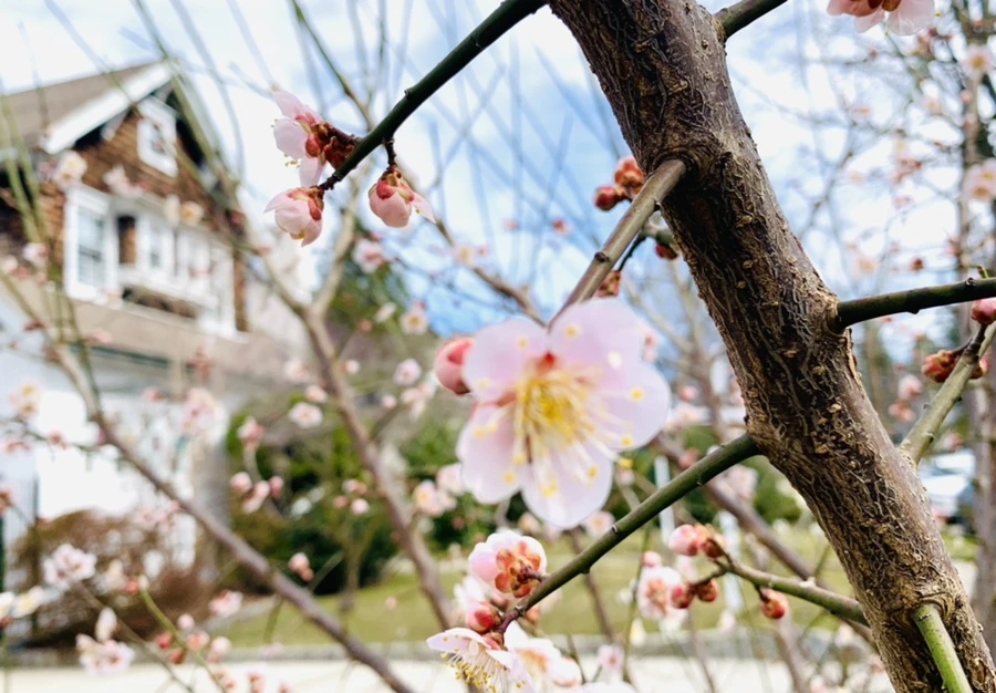 IMG_0478.jpg?type=w966