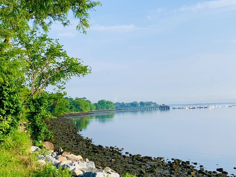 IMG_4345.jpg?type=w966