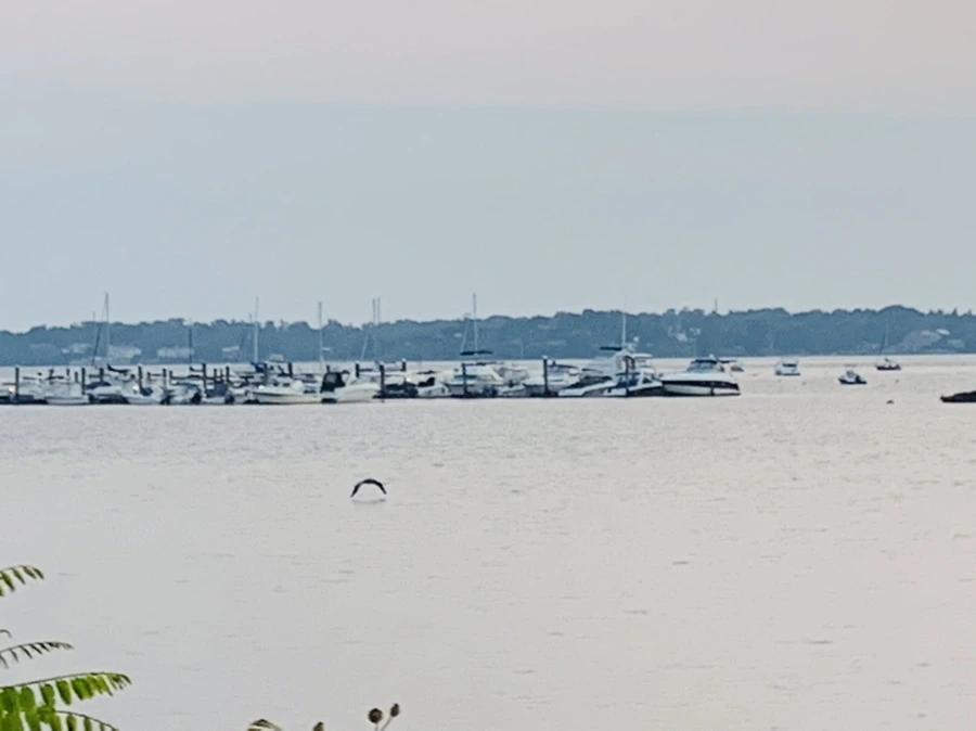 IMG_2350.jpg?type=w966