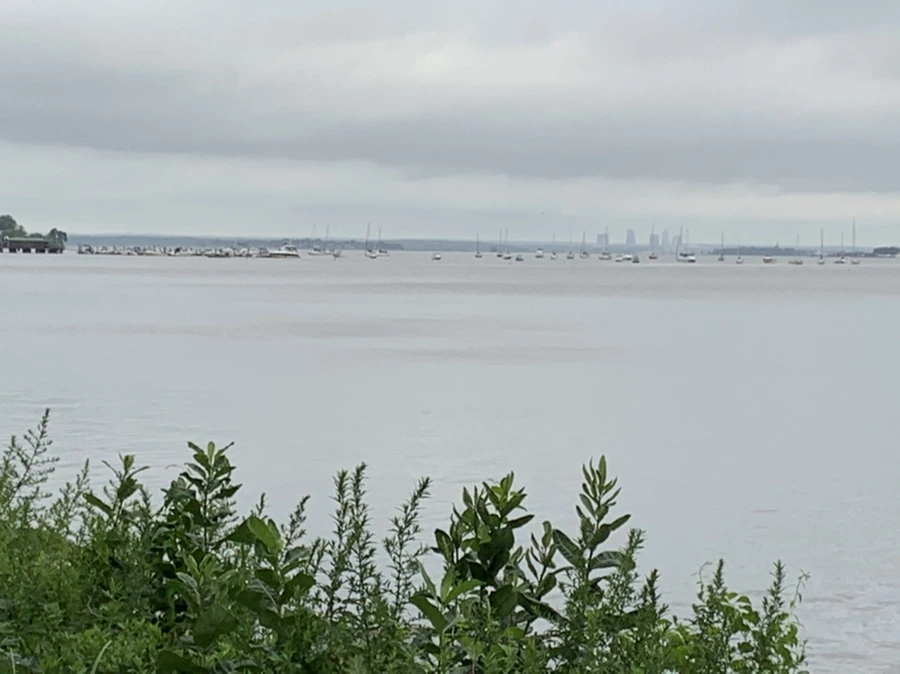 IMG_7134.jpg?type=w966