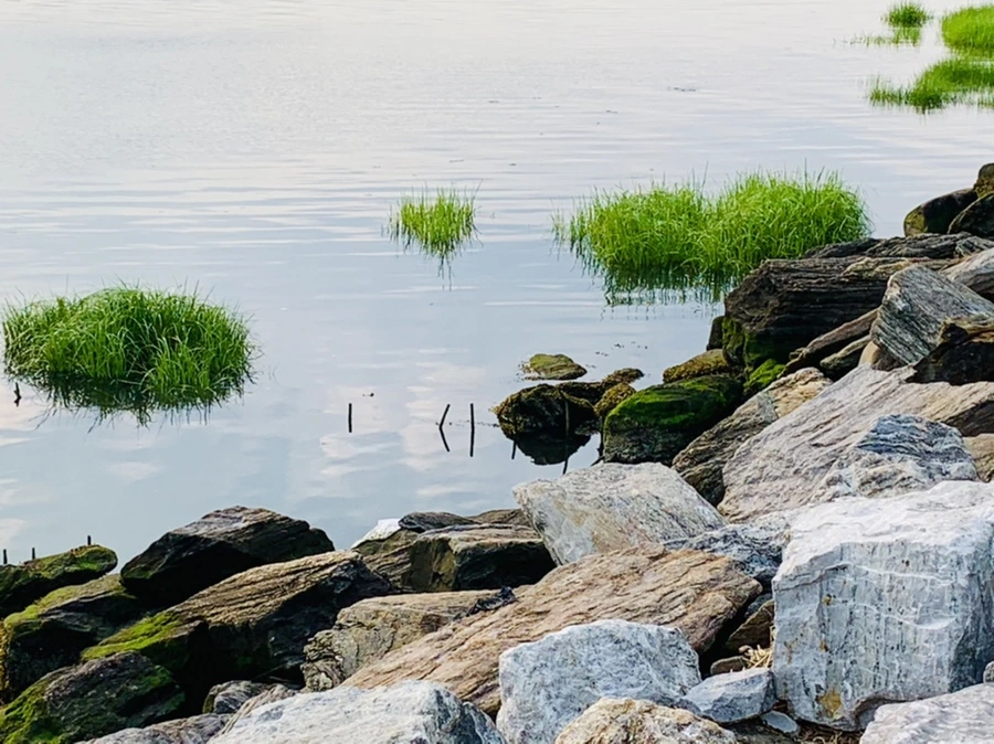 IMG_1602.jpg?type=w966