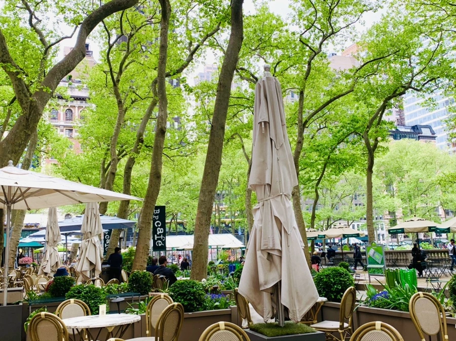 IMG_1710.jpg?type=w966