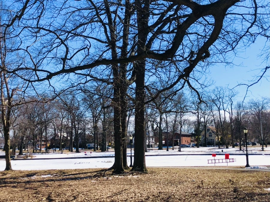 IMG_5020.jpg?type=w966