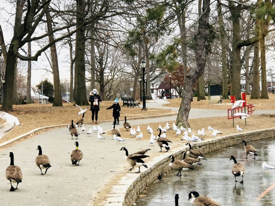 IMG_8305.jpg?type=w966