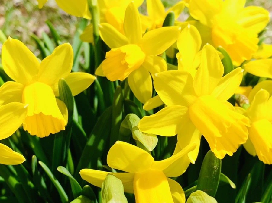 IMG_3261.jpg?type=w966