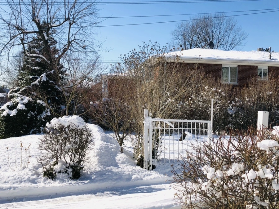 IMG_1404.jpg?type=w966