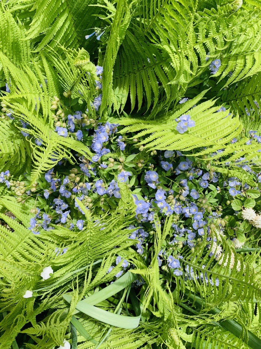 IMG_1178.jpg?type=w966