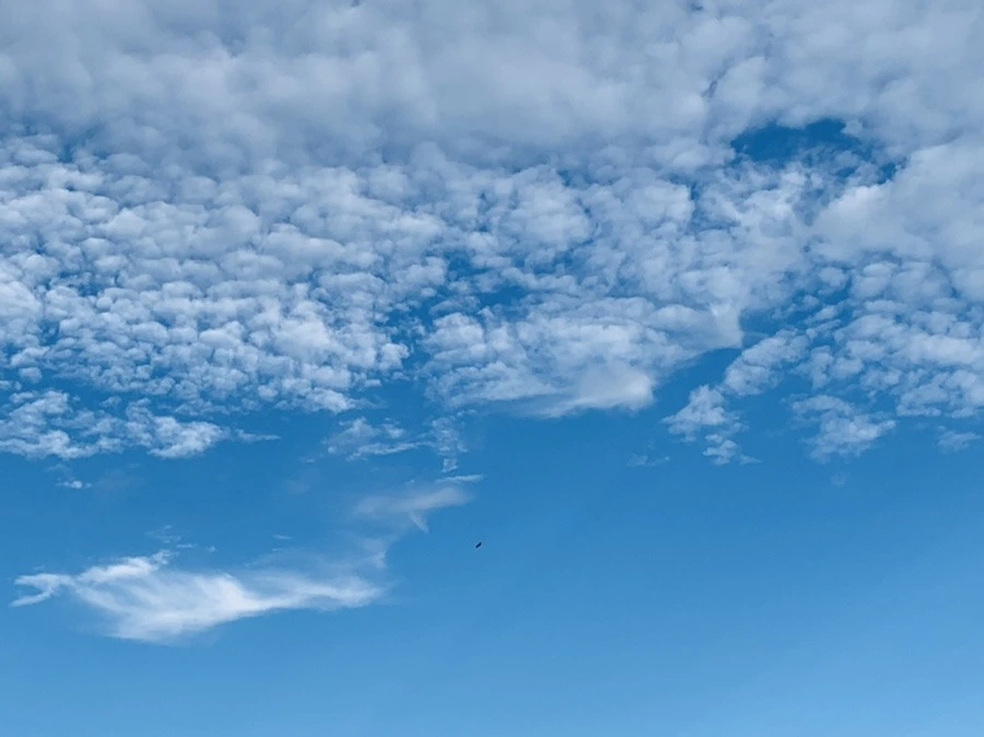 9UXfOtBWTST1st4PbNJz-mhoDN0