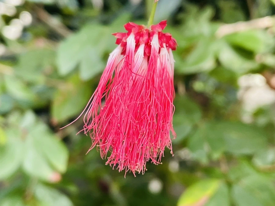 IMG_4207.jpg?type=w966