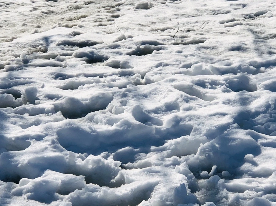 IMG_2987.jpg?type=w966