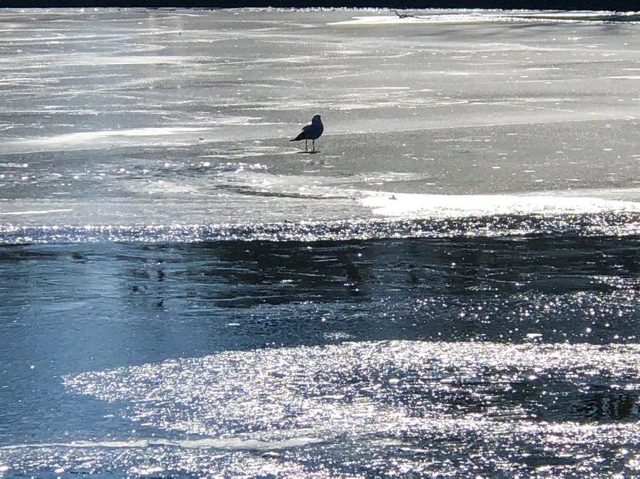 IMG_7797.jpg?type=w966