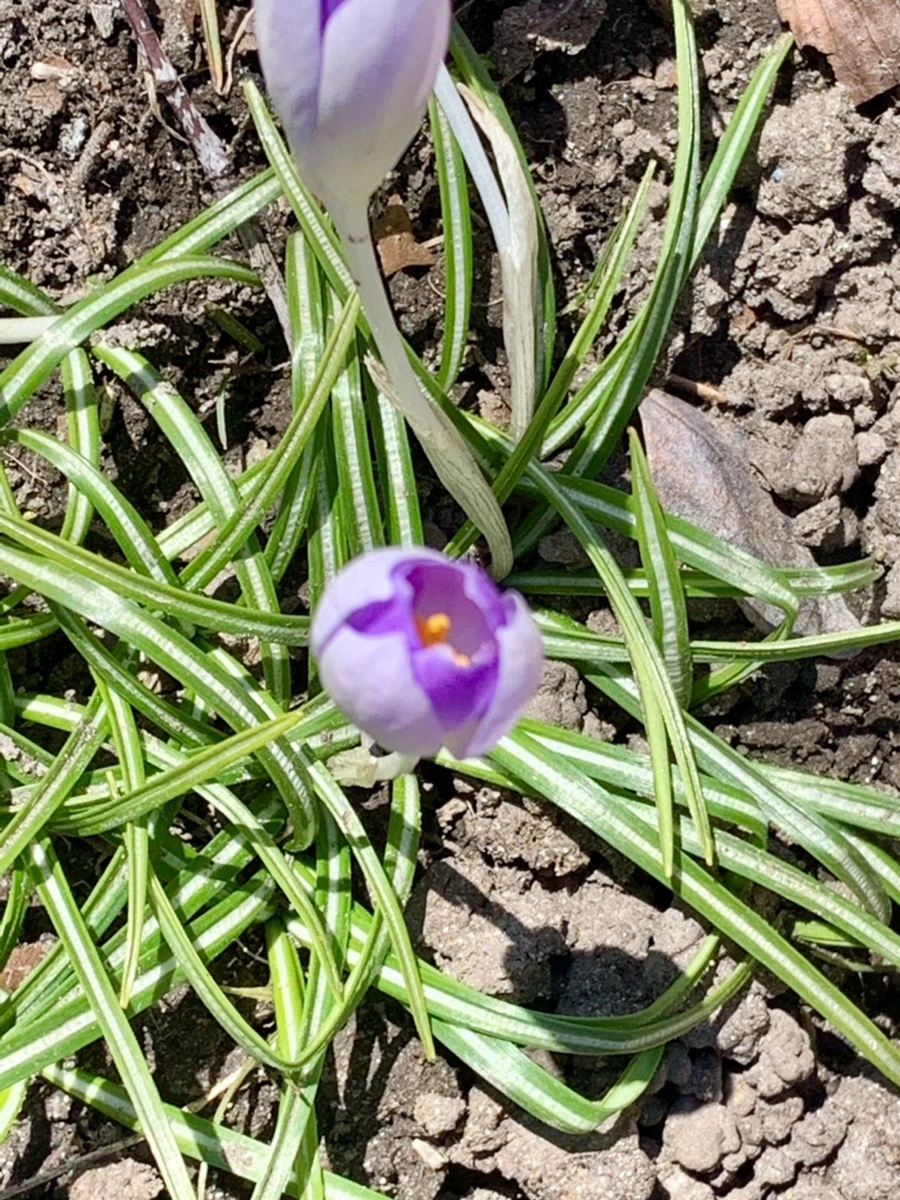 IMG_8215.jpg?type=w966