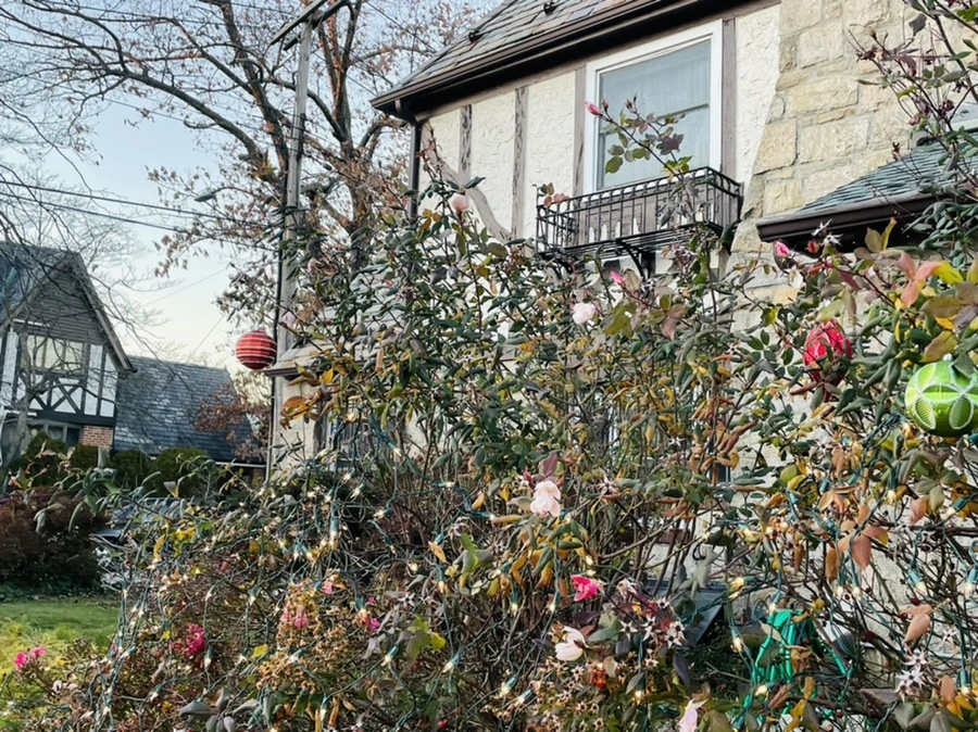 IMG_7537.jpg?type=w966