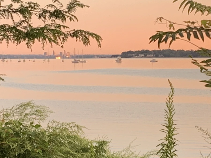 IMG_7512.jpg?type=w966