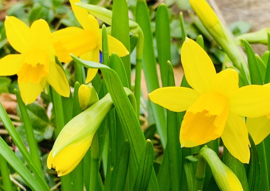 IMG_3210.jpg?type=w966