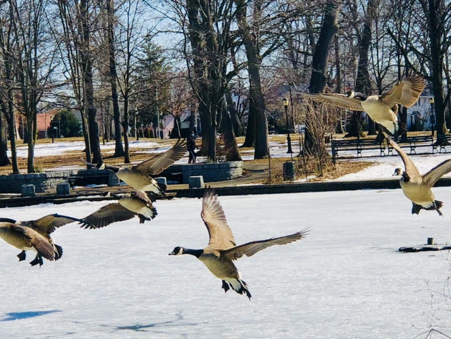 IMG_5178.jpg?type=w966