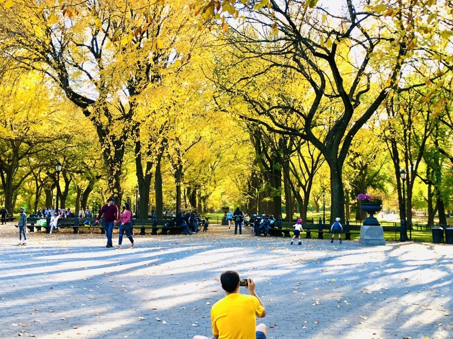 IMG_3529.jpg?type=w966