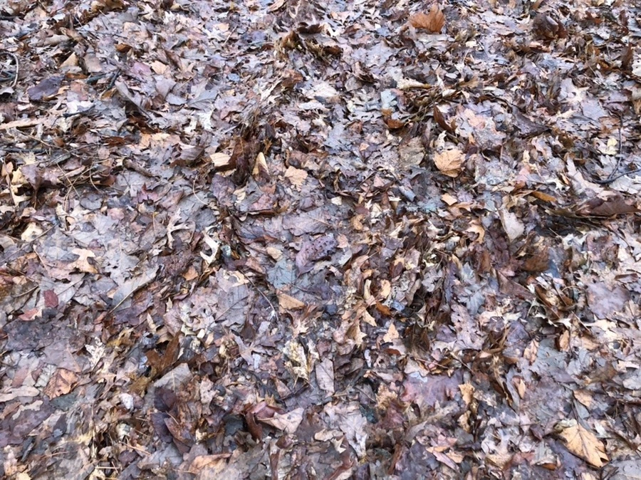 4D1Qn8SZLkH6lyfYuqOTKhsUmi8