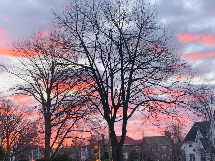 IMG_5359.jpg?type=w966