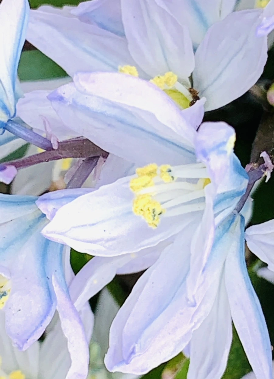 IMG_3532.jpg?type=w966