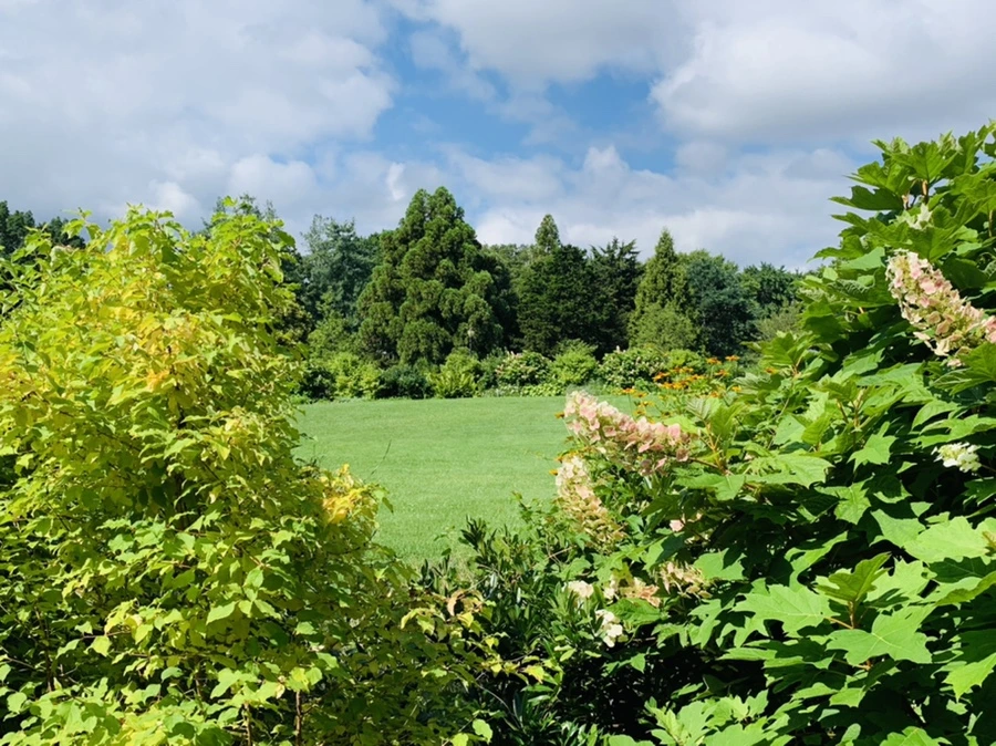 IMG_0600.jpg?type=w966