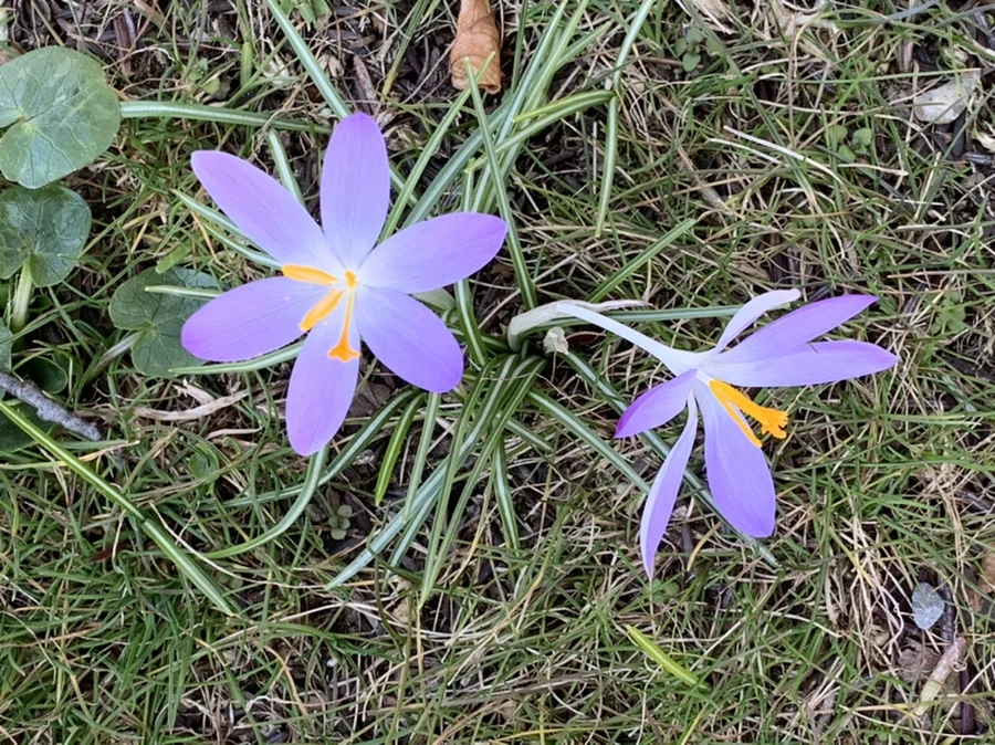 IMG_9237.jpg?type=w966