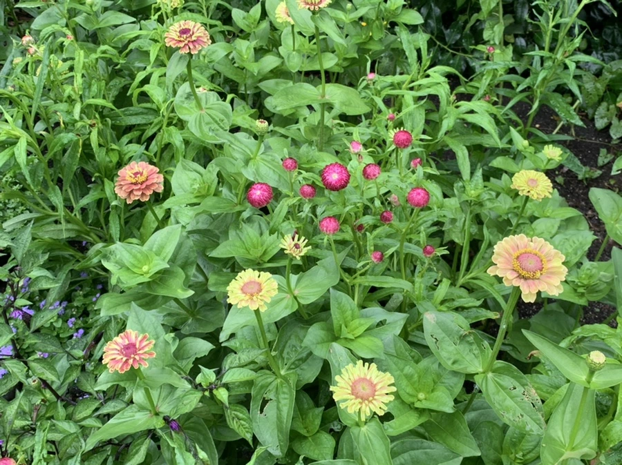 IMG_9552.jpg?type=w966