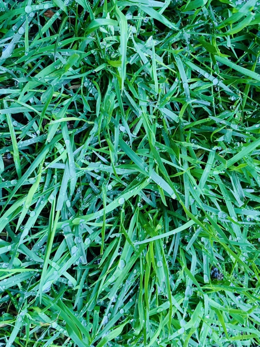 IMG_3116.jpg?type=w966