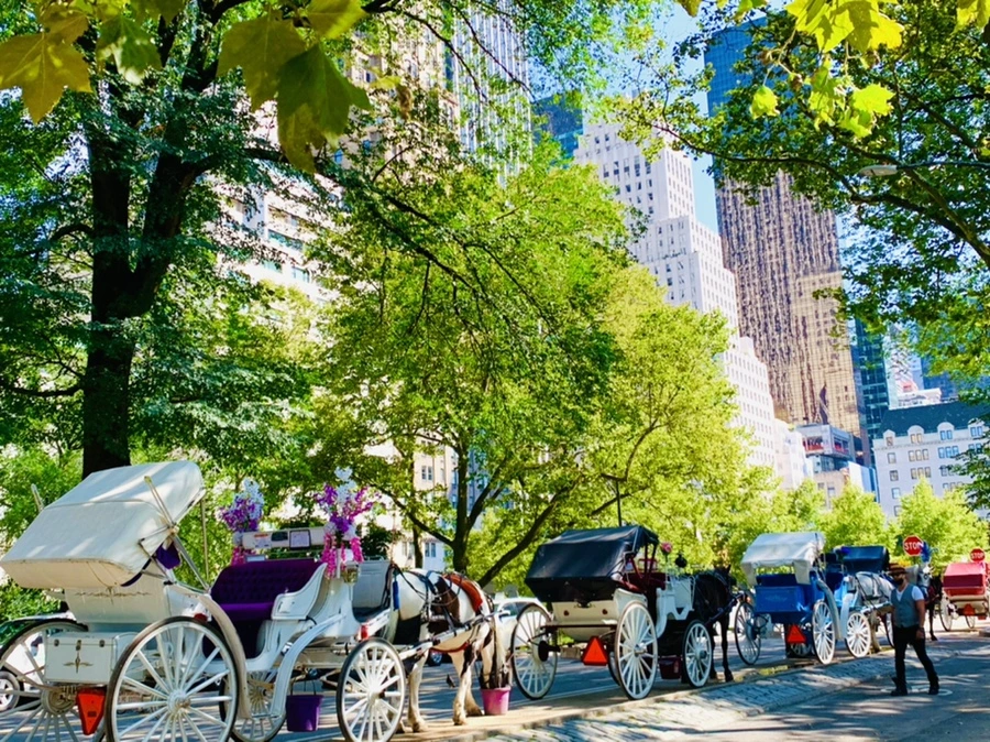 IMG_4532.jpg?type=w966