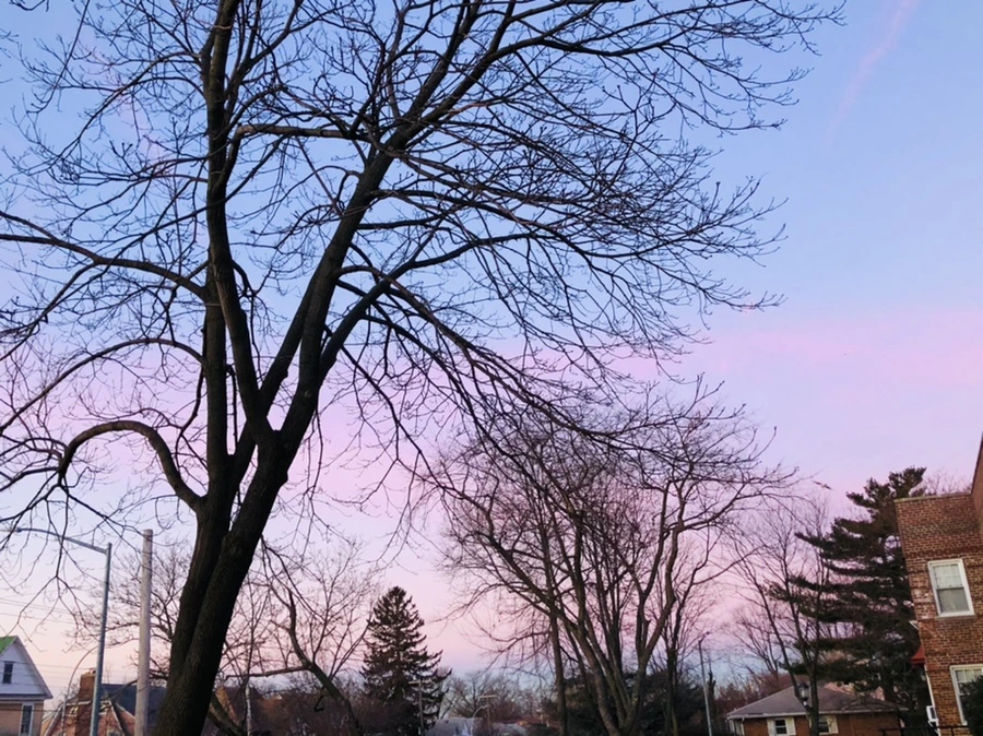 IMG_5604.jpg?type=w966