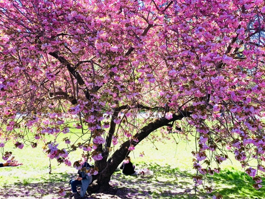 IMG_5928.jpg?type=w966