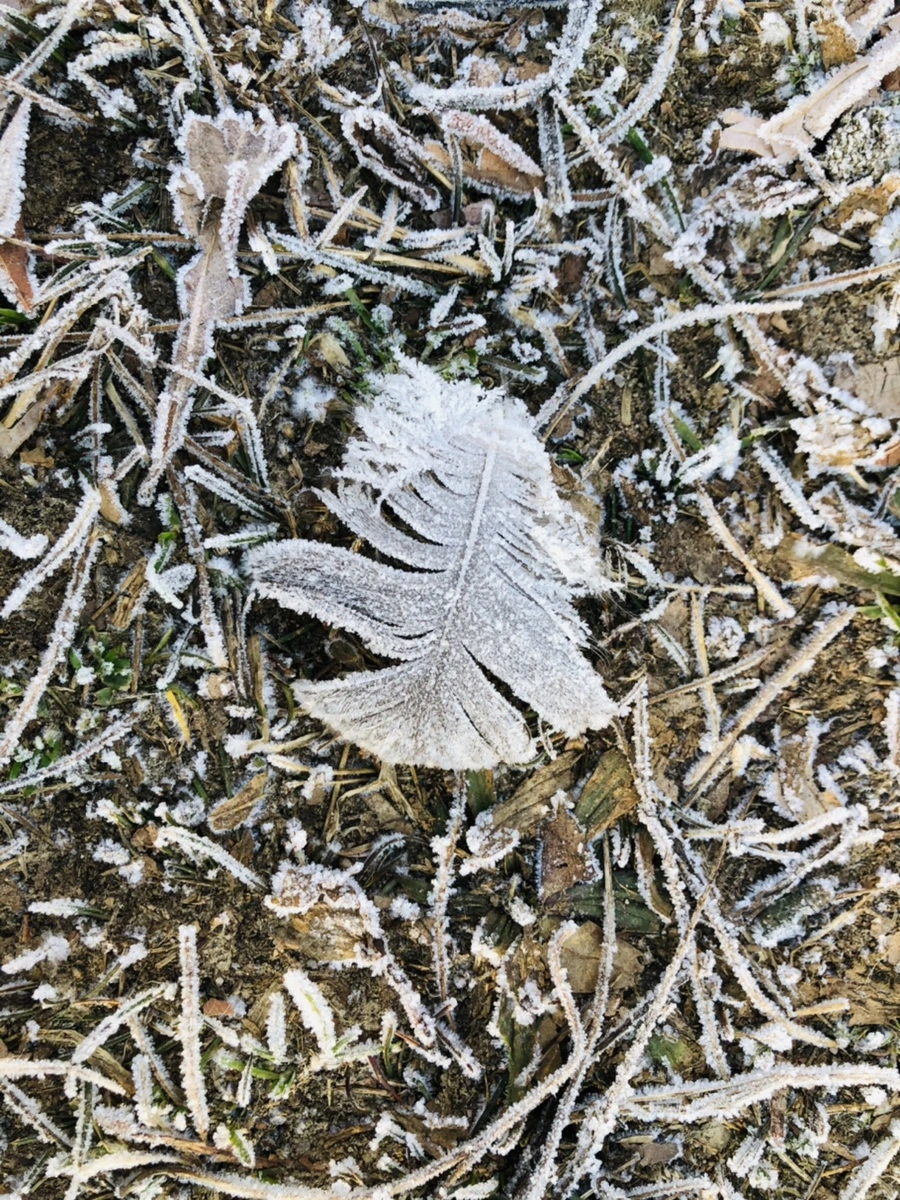 IMG_2215.jpg?type=w966