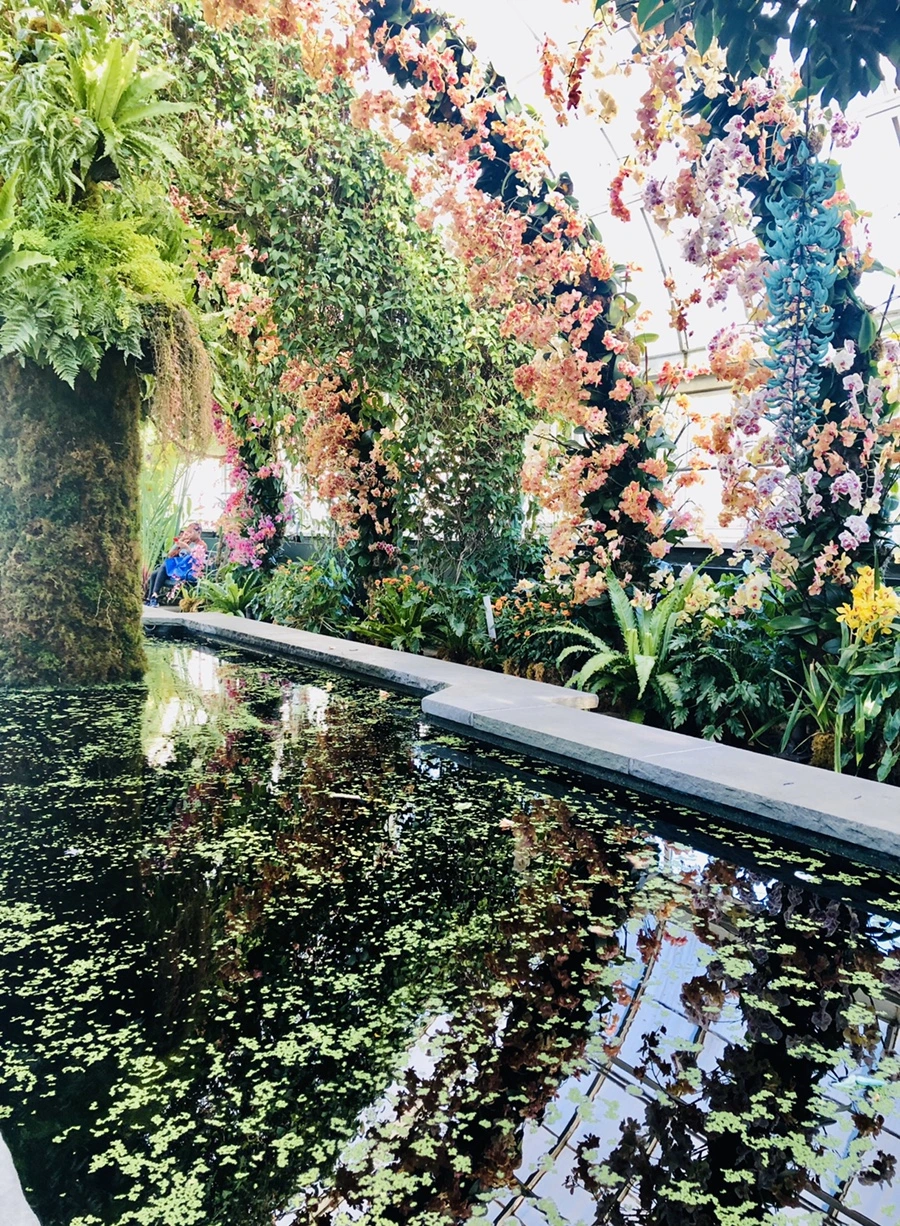 IMG_6276.jpg?type=w966