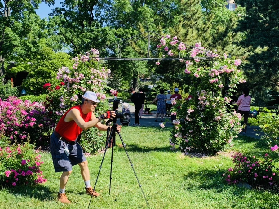 IMG_3078.jpg?type=w966