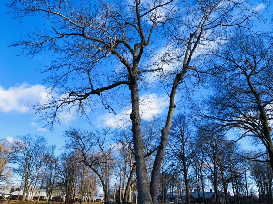 IMG_7591.jpg?type=w966