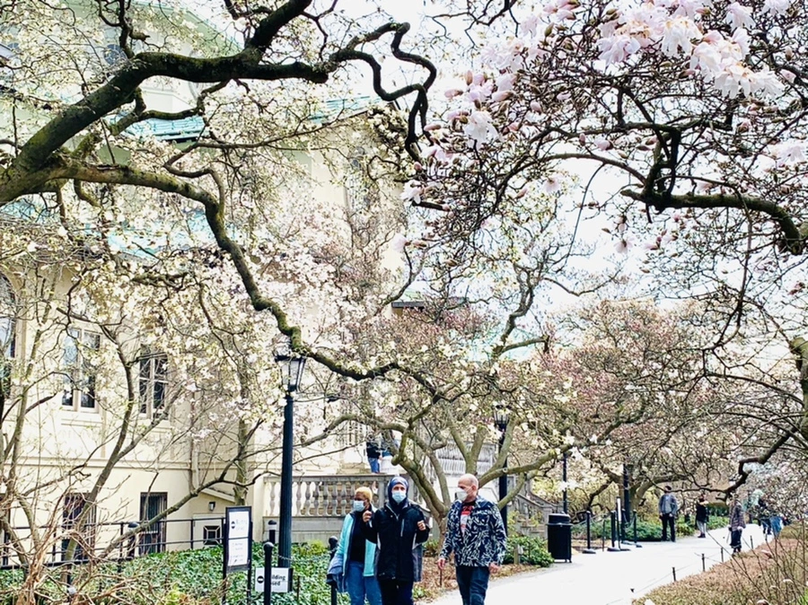 IMG_7147.jpg?type=w966