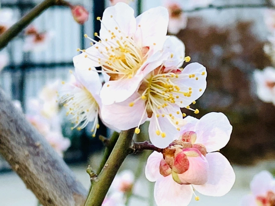 IMG_0870.jpg?type=w966